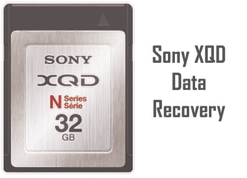 Sony xqd card recovery software mac